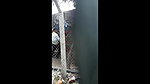 desi hijabi quick outdoor sex