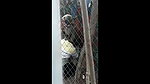 desi hijabi quick outdoor sex