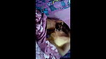 desi mature bhabhi with young lover