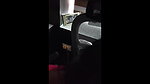 desi sari aunty giving blowjob