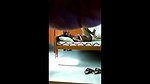 erotic hot indian couple fucking