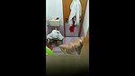 indian amateur cousin filmed in shower