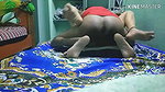 indian bhabhi fucked in saree