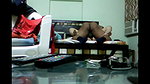 indian bhabhi with devar in hotel