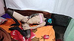 indian couple raj kamini bhabhi 6