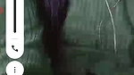 videos call sex videos