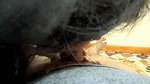 indian milf wife pussy licked andfucked