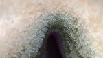 Showing her pussy at night and musterbate