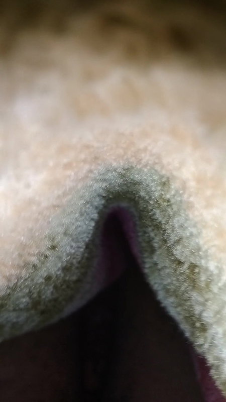 Showing her pussy at night and musterbate