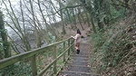 indian wife jill outdoor sex