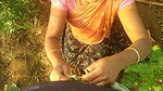 My Indian Bhabhi ko sarso ke khet me lund chusaya, fir dogy style me choda, Hindi me