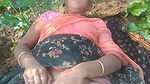 My Indian Bhabhi ko sarso ke khet me lund chusaya, fir dogy style me choda, Hindi me