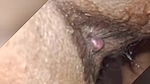 Mature sexy hairy pussy musturbation pissing