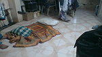 muslim gf sex scandal with hindu boyfriend 2