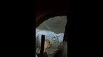 next door bhabhi anita in shower