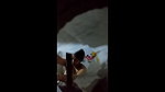 next door bhabhi anita in shower