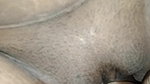 Indian bhabhi fucking with his college lover