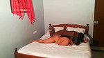 shanaya bhabhi love making