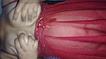 first night sex indian babydoll night dress porn videos