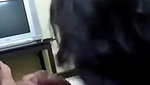 tamil couple homemade voyeur sex