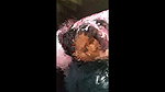 bengali girl blowjob
