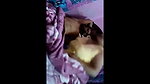 desi horny mature mom bj
