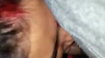 Desi Cute Bhabhi suking hubby