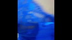 gujarati bhabhi in blue chemise