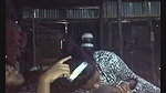 Village young girl blowjob and riding