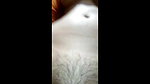 beauty desi babe showing boobs  pussy