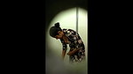 bhabhi in ladies trial room