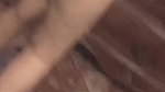 Paki bhabhi showing
