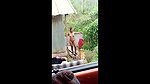 daring desi girl showing boob and pussy