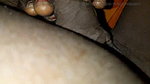 Girlfriend’s fucking after a long time