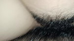 Indian desi new married couple Sex video