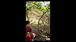 desi lover outdoor risky sex