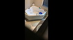 desi milf bhabhi in shower