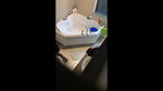 desi milf bhabhi in shower