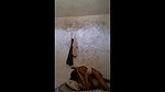 desi village couple 1