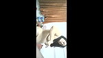 hot indian bhabhi changing mms
