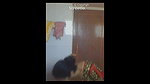 mature desi aunty in bathroom