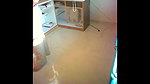 middle age office staff fuck inside office floor 2