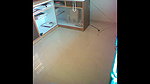 middle age office staff fuck inside office floor 2