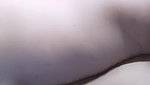 desi sexy wife nice body