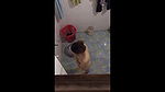 nepali college girl hiddencam shower 1