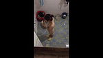 nepali college girl hiddencam shower 2