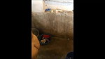 next door bhabi filmed taking shower