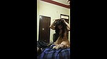 sexy indian girl romantic sex