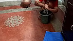 Sexy Maid cleaning floor and showing her ass