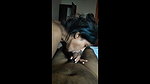 tamil hot gf giving blowjob
